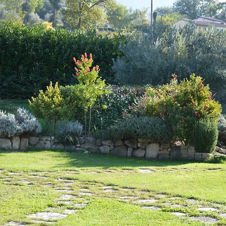 La Sorgente Del Subasio * Assise