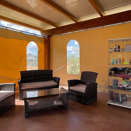 La Sorgente Del Subasio