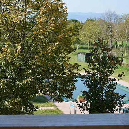 La Sorgente Del Subasio *