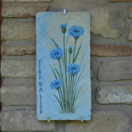 La Sorgente Del Subasio