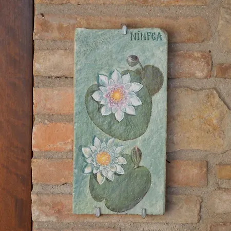 La Sorgente Del Subasio Assisi