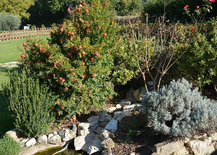 La Sorgente Del Subasio Assisi