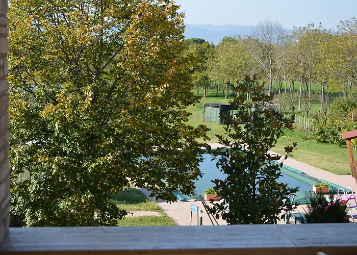 La Sorgente Del Subasio *